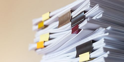 [Translate to English:] Dokumente zum Studium der Politikwissenschaft