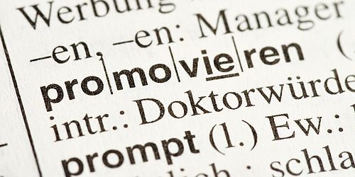 Dissertationsprojekte