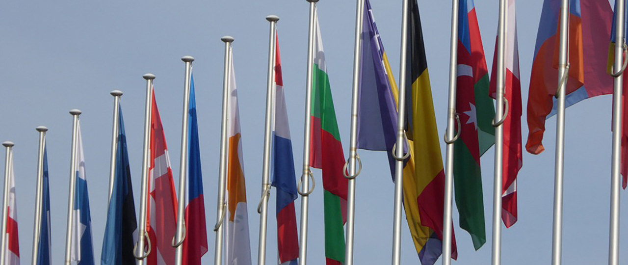 European Union Flag